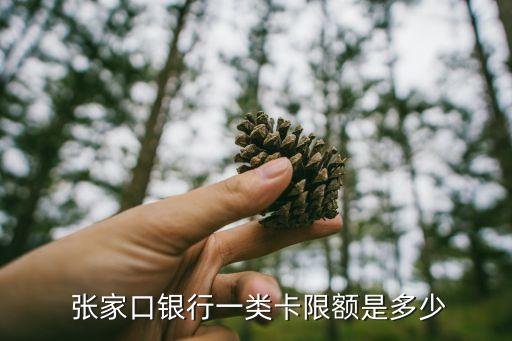  张家口银行一类卡限额是多少