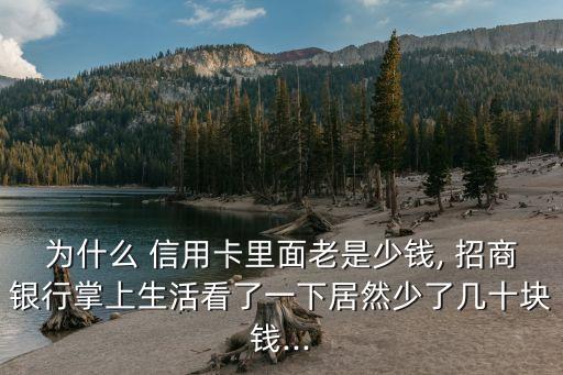 为什么 信用卡里面老是少钱, 招商银行掌上生活看了一下居然少了几十块钱...