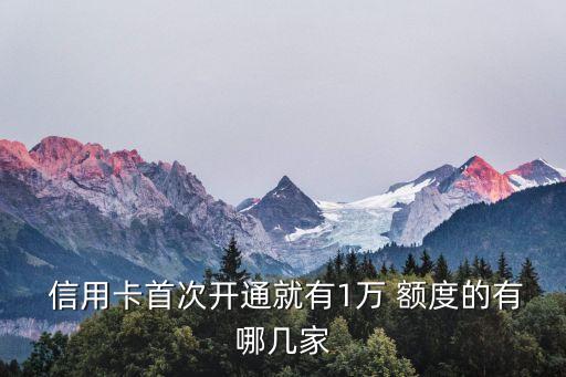 信用卡首张哪一个额度高,首张信用卡3000额度