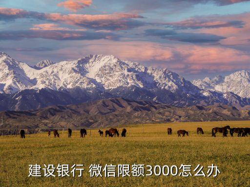 建设银行 微信限额3000怎么办
