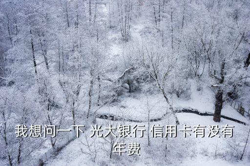 光大银行信用卡收不收年费