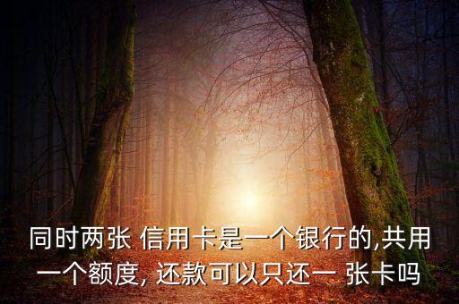 同时两张 信用卡是一个银行的,共用一个额度, 还款可以只还一 张卡吗