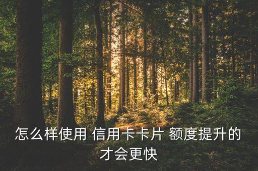 怎么样使用 信用卡卡片 额度提升的才会更快
