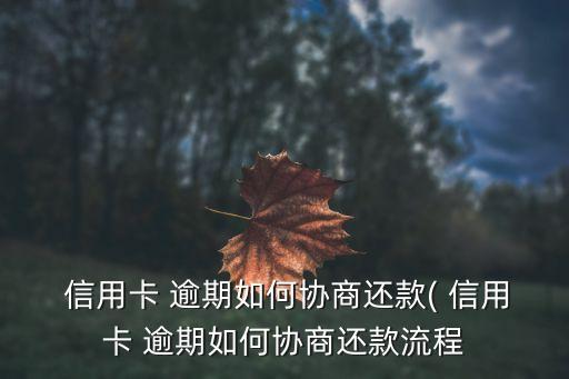 信用卡 逾期如何协商还款( 信用卡 逾期如何协商还款流程
