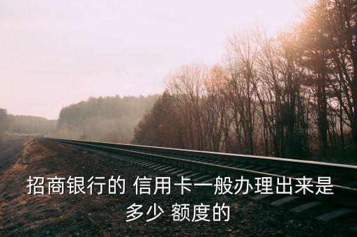 白户招商信用卡首个额度,招商smart白银色信用卡