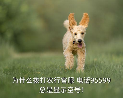 为什么拨打农行客服 电话95599总是显示空号!