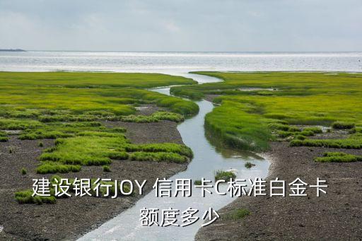 建设银行JOY 信用卡C标准白金卡额度多少