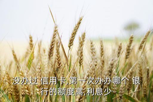 没办过 信用卡,第一次办办哪个 银行的额度高,利息少