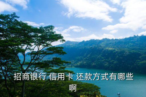  招商银行 信用卡 还款方式有哪些啊