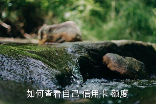 如何查看自己 信用卡 额度