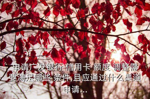 申请广发银行 信用卡 额度 调整需要满足哪些 条件,且应通过什么渠道申请...