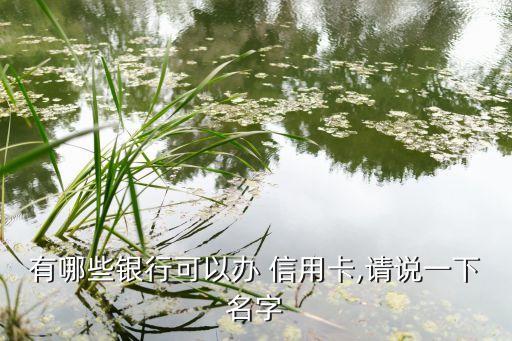 有哪些银行可以办 信用卡,请说一下名字