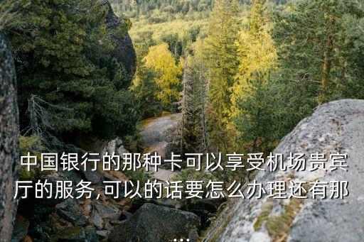 中国银行的那种卡可以享受机场贵宾厅的服务,可以的话要怎么办理还有那...