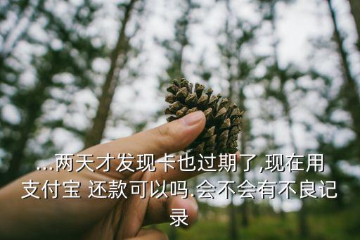 ...两天才发现卡也过期了,现在用支付宝 还款可以吗.会不会有不良记录