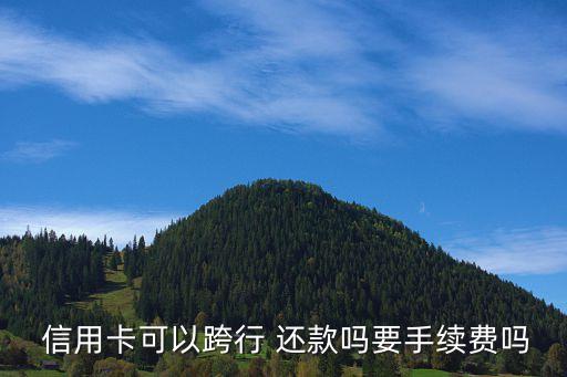  信用卡可以跨行 还款吗要手续费吗