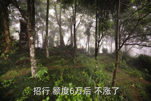  招行 额度6万后 不涨了