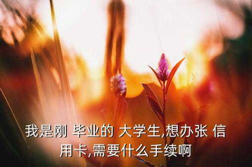 大学生毕业信用卡申请链接,招商银行大学生毕业信用卡额度