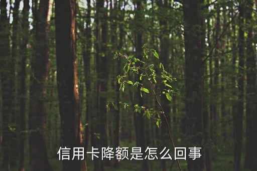  信用卡降额是怎么回事