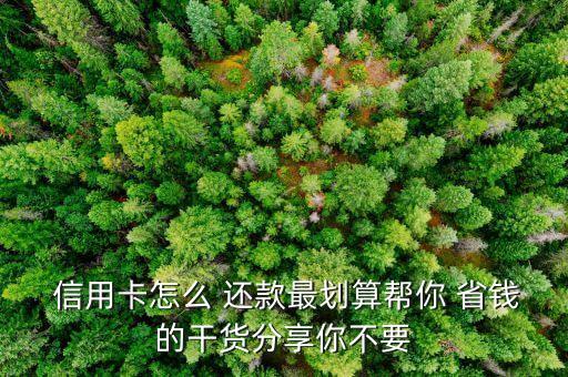  信用卡怎么 还款最划算帮你 省钱的干货分享你不要
