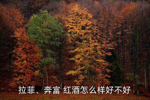 拉菲、奔富 红酒怎么样好不好