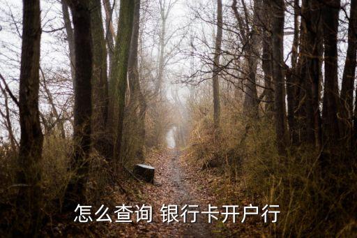 怎么查询 银行卡开户行