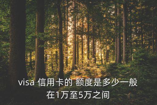 visa 信用卡的 额度是多少一般在1万至5万之间