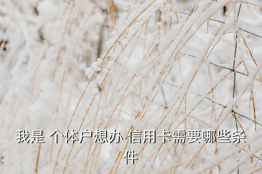 我是 个体户想办 信用卡需要哪些条件