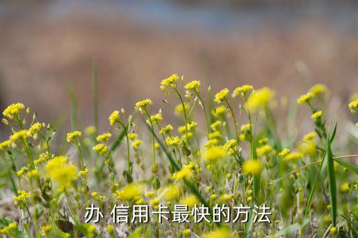 办 信用卡最快的方法
