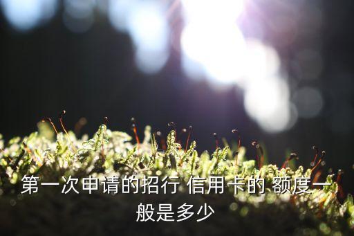 网上初次办理信用卡额度,办理信用卡哪个银行好且额度高