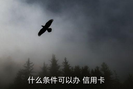 什么条件可以办 信用卡