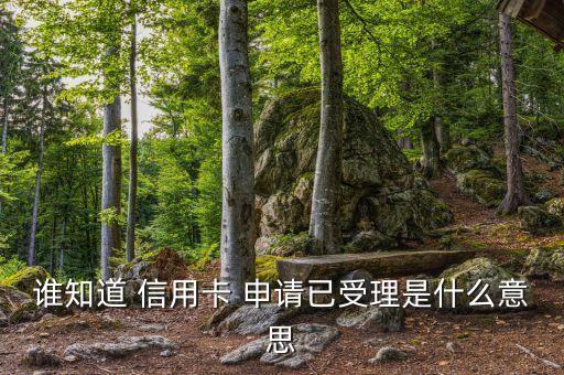 谁知道 信用卡 申请已受理是什么意思