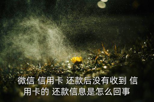  微信 信用卡 还款后没有收到 信用卡的 还款信息是怎么回事