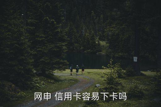 信用卡网上申请快不快,网上申请visa信用卡