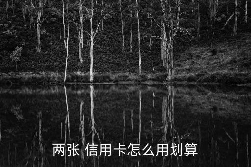 两张 信用卡怎么用划算