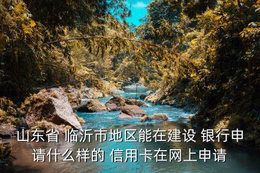 山东省 临沂市地区能在建设 银行申请什么样的 信用卡在网上申请