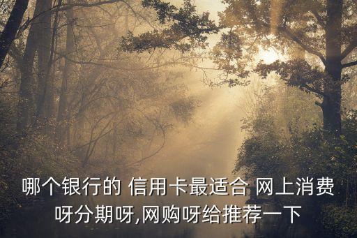 哪个银行的 信用卡最适合 网上消费呀分期呀,网购呀给推荐一下