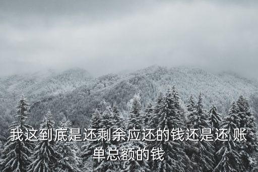 我这到底是还剩余应还的钱还是还 账单总额的钱