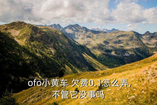  ofo小黄车 欠费0.1怎么弄,不管它没事吗