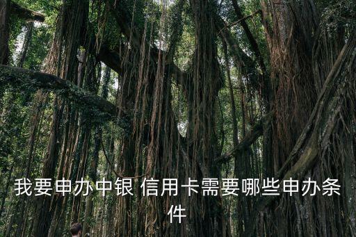 我要申办中银 信用卡需要哪些申办条件