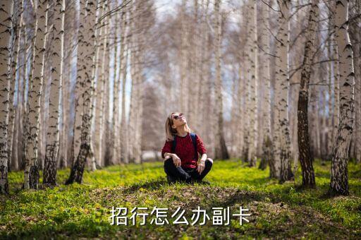 招行怎么办副卡