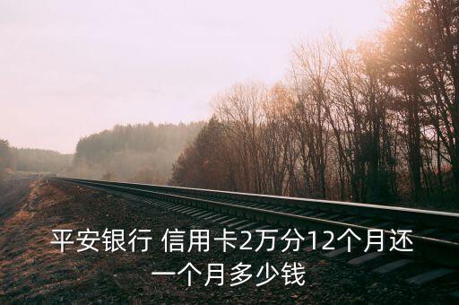  平安银行 信用卡2万分12个月还一个月多少钱