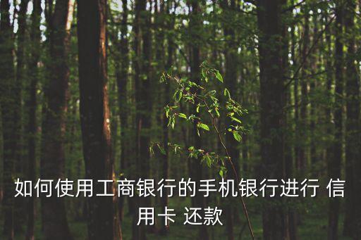 如何使用工商银行的手机银行进行 信用卡 还款