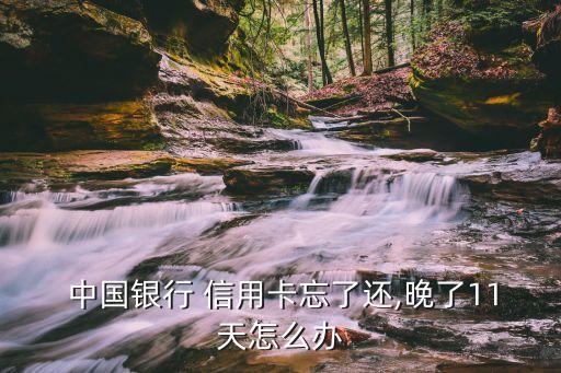  中国银行 信用卡忘了还,晚了11天怎么办