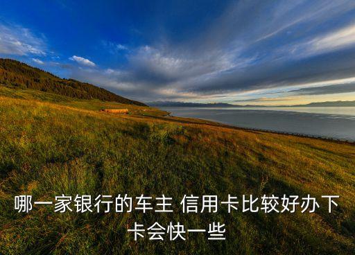 哪一家银行的车主 信用卡比较好办下卡会快一些