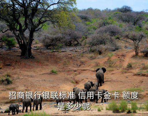 招商银行银联标准 信用卡金卡 额度是多少呢