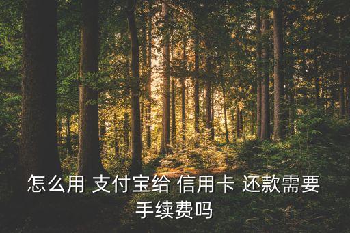 怎么用 支付宝给 信用卡 还款需要手续费吗