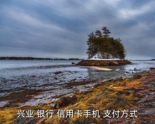 兴业 银行 信用卡手机 支付方式