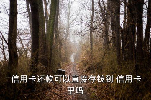 信用卡分期能自己充钱进去么