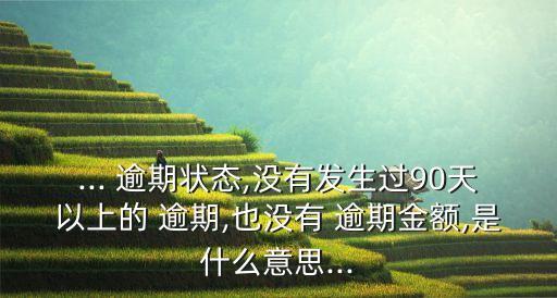 ... 逾期状态,没有发生过90天以上的 逾期,也没有 逾期金额,是什么意思...