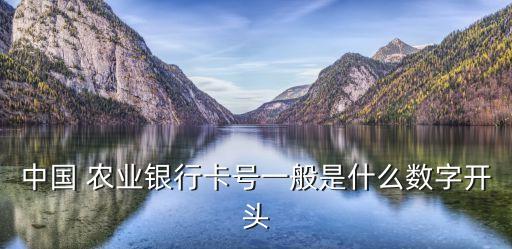 中国 农业银行卡号一般是什么数字开头